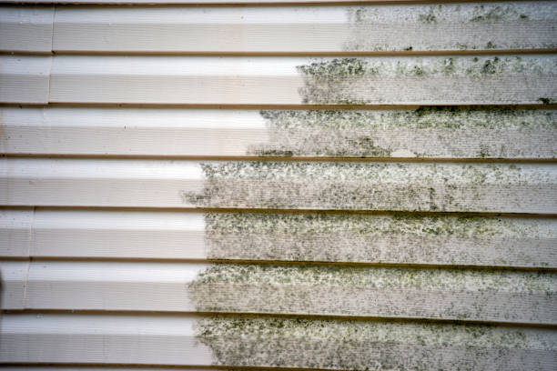 Storm Damage Siding Repair in Caledonia, WI